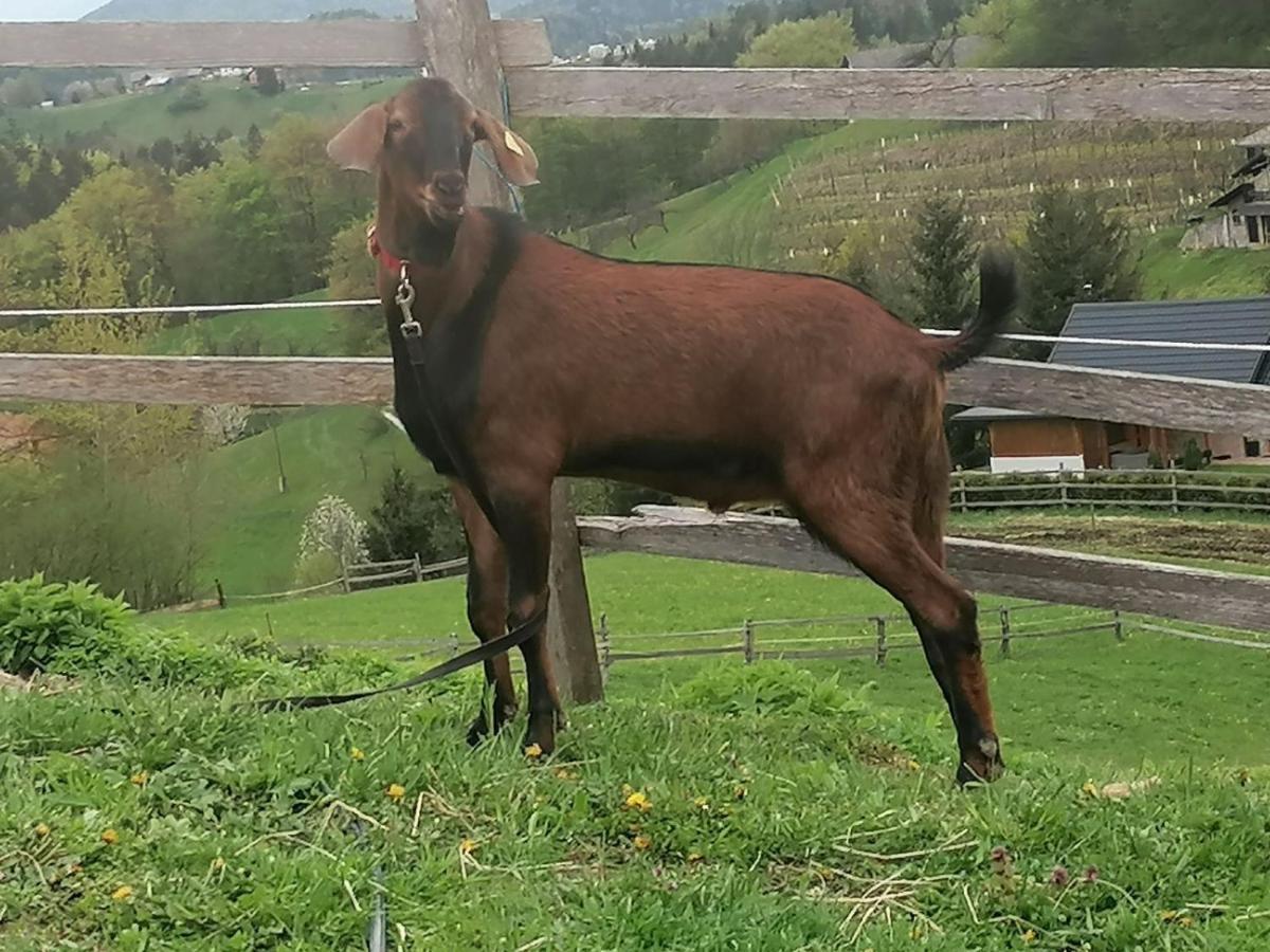 Gasthaus Ranch at Geta Razgorce Exterior foto